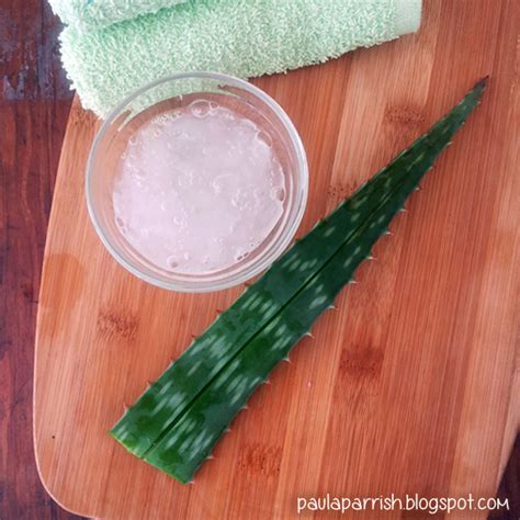 Paula Parrish How To Harvest Aloe Vera Gel