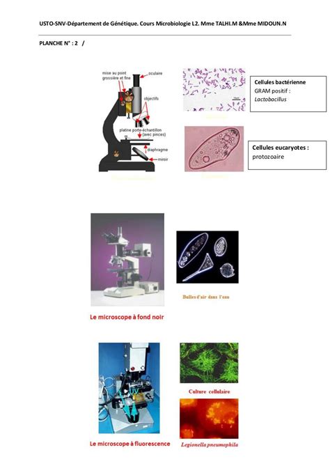 Td De Microbiologie