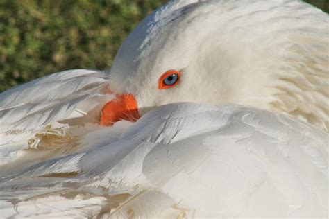 Natural Beauty Photograph By Valia Bradshaw Fine Art America