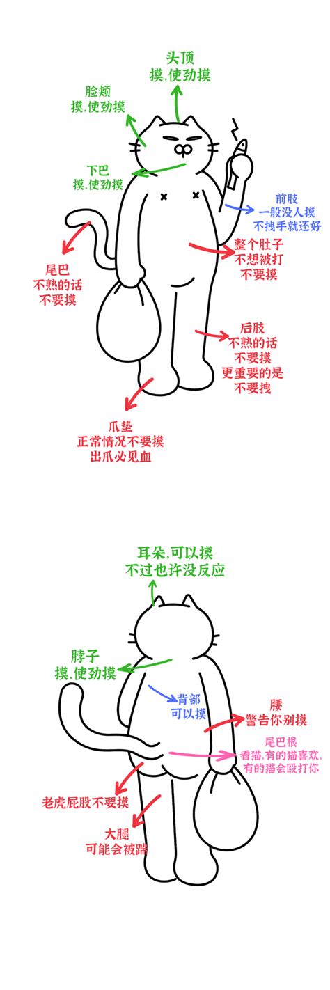 猫咪最渴望被人摸哪里，哪些地方不能摸？ 知乎