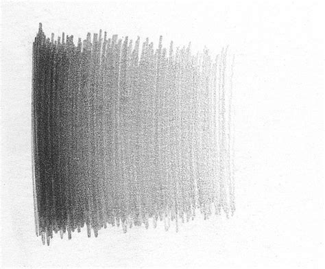 swan pencil drawing basics  lee hammond
