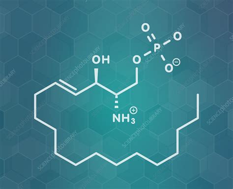 Sphingosine-1-phosphate signalling molecule, illustration - Stock Image ...