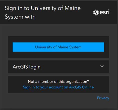 Article ArcGIS Single Sign On