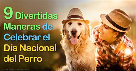 Simples Maneras De Celebrar El D A Nacional Del Perro