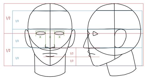 Tutorial Aprenda Como Desenhar A Cabeça