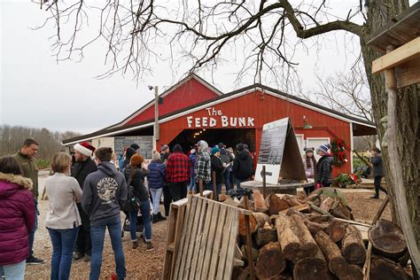 Dulls Tree Farm — Thechadcolby