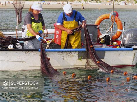 Boliche Artisanal Fishing That Is Done Between Waters Near The Coast