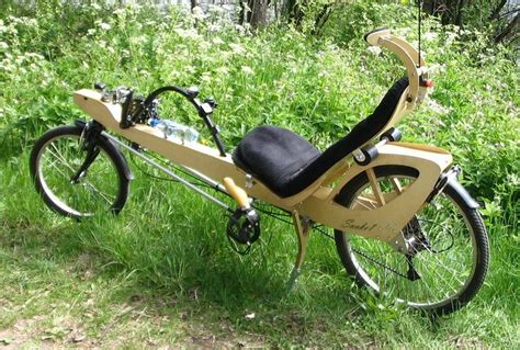 Snake 6606 2 Recumbent Bicycle Wooden Bicycle Recumbent Bike Workout