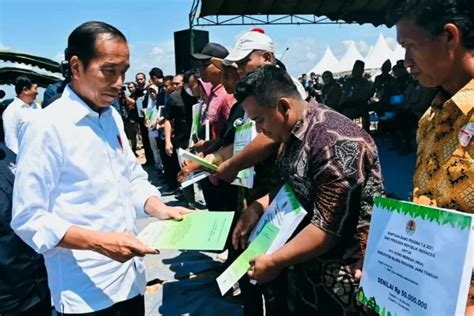 Jokowi Bagi Bagi Sertifikat Tanah Di Kabupaten Blora Netizen