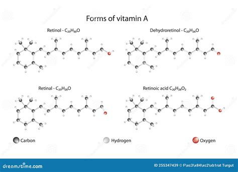 Form Of Vitamin A Retinol Dehydroretinol Retinal Retinoic Acid