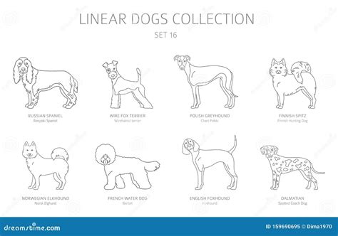 ColecciÃ³n De Perros De LÃnea Simple Aislada En Blanco Razas Del