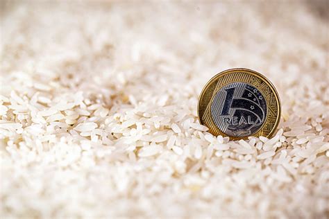 Conab Prepara Edital Para Compra De Mais Mil Toneladas De Arroz