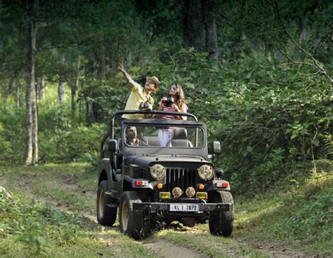 Jungle Jeep Safari Thekkady Periyar Tourism Periyar National Park