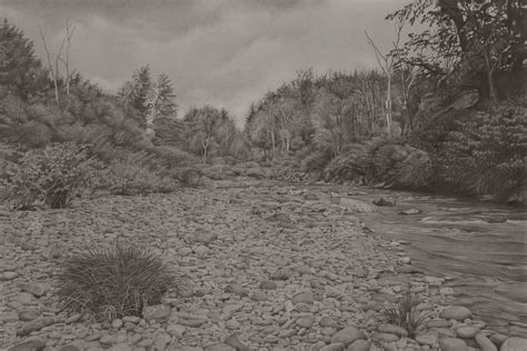 Mary Reilly - Riverbank 4, photorealist graphite landscape drawing ...