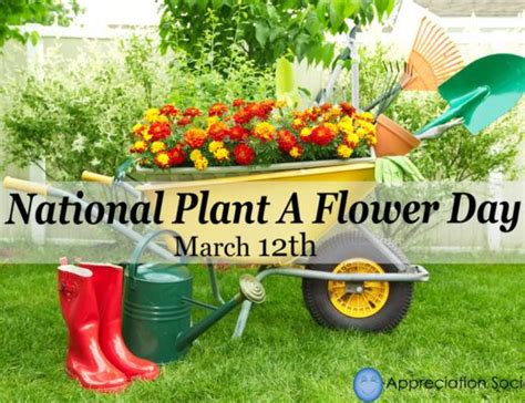 Monday 12 March Is National Plant A Flower Day South Coast Sun