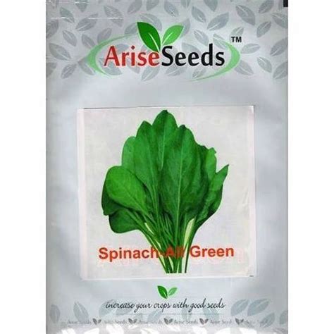 Arise Seeds Spinach Seeds For Agriculture At Rs 90 Kilogram In Jaipur