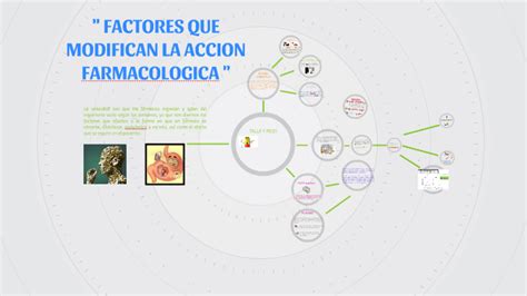 Factores Que Modifican La Accion Farmacologica By Camila Araneda On Prezi