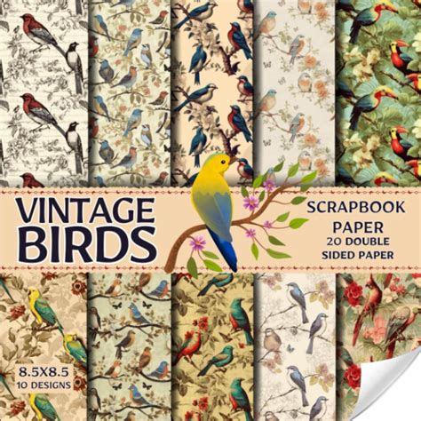 Vintage Birds Scrapbook Paper X Designs Double Sided