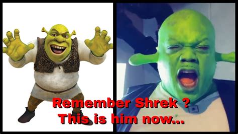 Tik Tok Shrek Video Remember Shrek This Is Him Now Original 2020 Trends Youtube