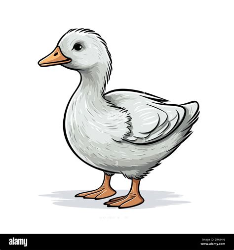 Duck Duck Hand Drawn Illustration Vector Doodle Style Cartoon