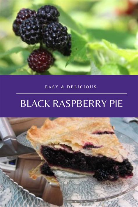 Black Raspberry Pie Recipe Video How To Make Directions Recipe Raspberry Pie Recipe Black