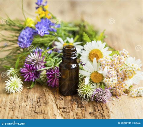 Aceite Esencial Con Las Hierbas Y Las Flores Medicinales Para La