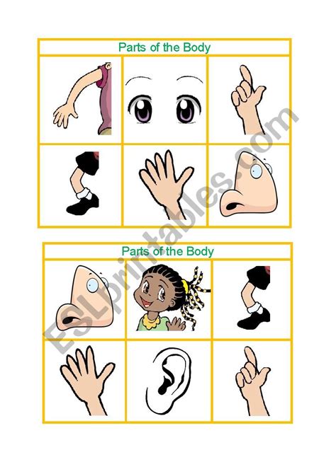 Parts Of The Body Bingo Esl Worksheet By Floorescudero