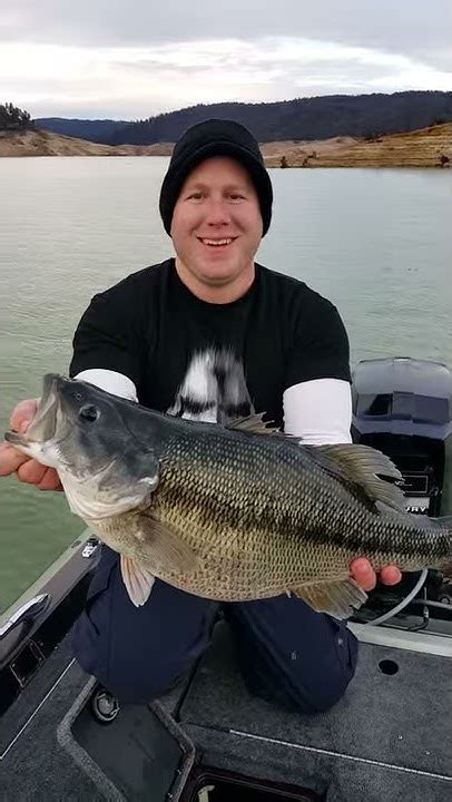 World Record Spotted Bass Youtube