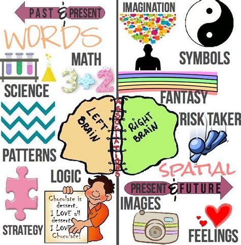 Right Brain Left Vs Right Brain Brain Learning