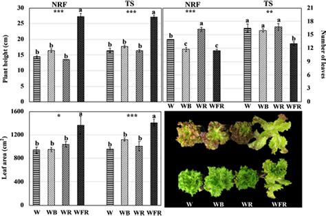 The Effect Of Supplemental Blue Red And Far Red Light On The Growth