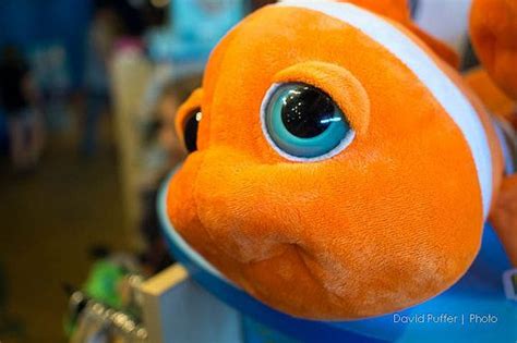 The Happy Clownfish Clown Fish Fish Pet Pets