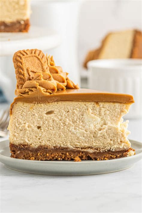 Biscoff Cheesecake Recipe The Cookie Rookie®