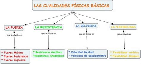 Capacidades F Sicas B Sicas Clasificaciones Y Ejemplos