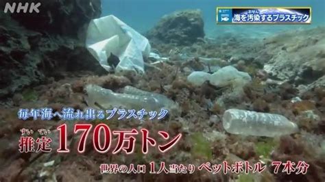 放置しないで！プラスチックごみ問題 地球は放置してても育たない Nhk For School