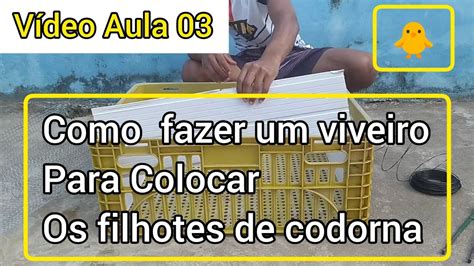 Como Fazer Um Viveiro Para Colocar Os Filhotes De Codorna Youtube