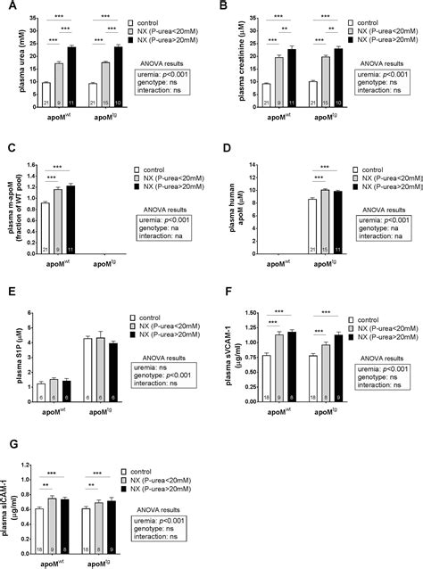 Effects Of Apolipoprotein M In Uremic Atherosclerosis Atherosclerosis