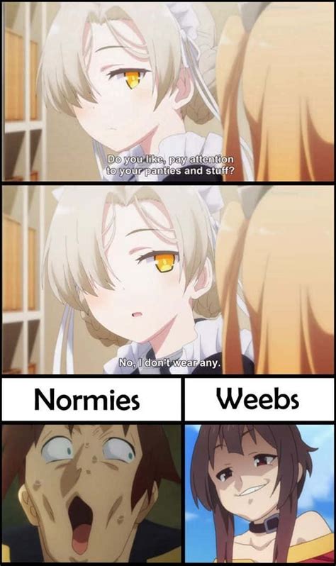 Download Normies Webs Anime