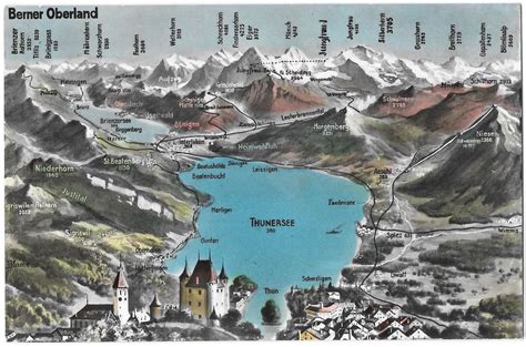 Panoramakarte Thun Und Thunersee Etc Kaufen Auf Ricardo