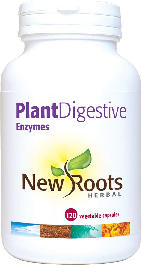 Plant Digestive Enzymes 120s The Natural Dispensary