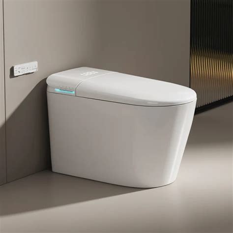 Modern Multifunction Bathroom Automatic Toilet Auto Sensor Flushing