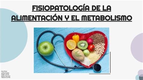 Fisiopatolog A De La Alimentaci N Y El Metabolismo