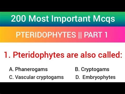 Botany Mcqs Pteridophytes Mcqs Part Youtube