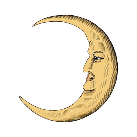 Premium Vector Hand Drawn Sketch Of A Crescent Moon