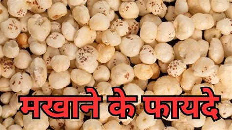 Benefits of Makhana वजन घटन स लकर पचन दरसत करन तक मखन खन