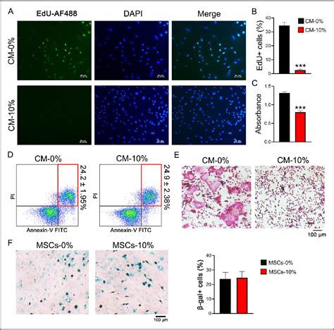 Figure 4 From Mechanical Unloading Promotes Osteoclastic