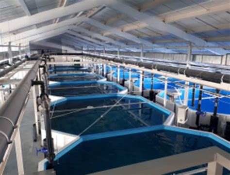 Aquaculture Landbased Systems - Recirculating Aquaculture ...