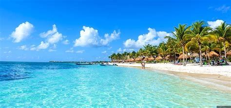 Nado Con Delfines En Playa Del Carmen