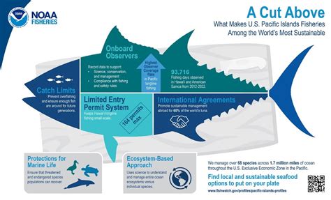 A Sustainable Blue Economy Circular Use Of Ocean Resources