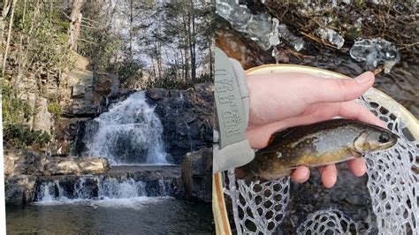 Fishing The Poconos Waterfalls And Wild Trout YouTube