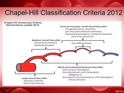 Anca Vasculitis Ppt